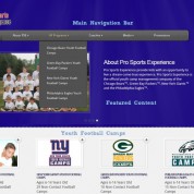 Welcome To The New Pro Sports Experience Website